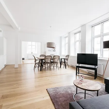 Apartment 3 Bedroom In The Heart Of Copenhagen